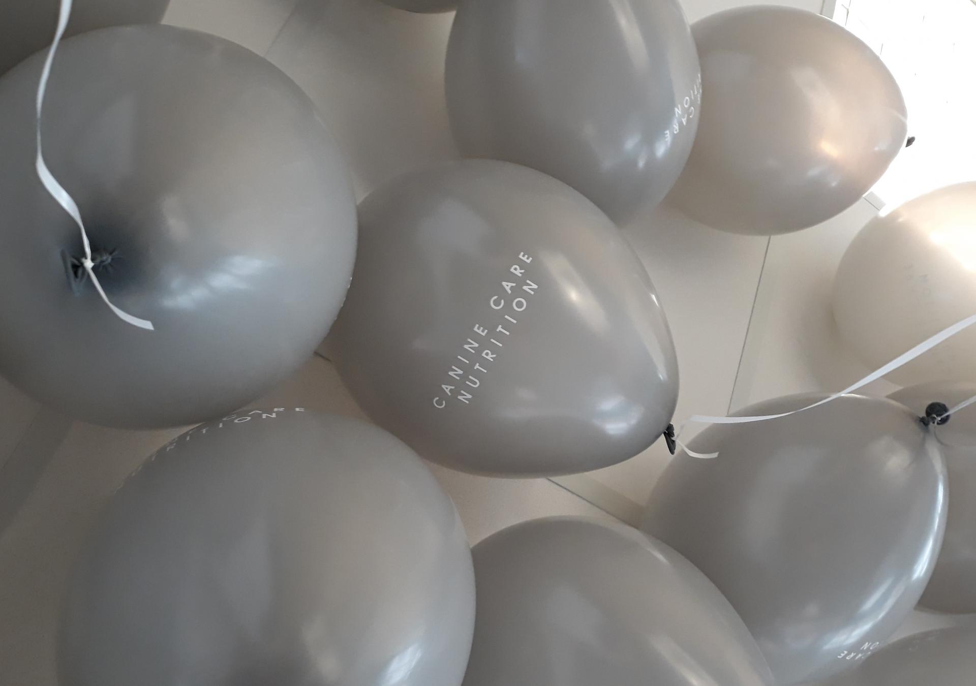 Ballon Hélium : Ballon publicitaire personnalisable